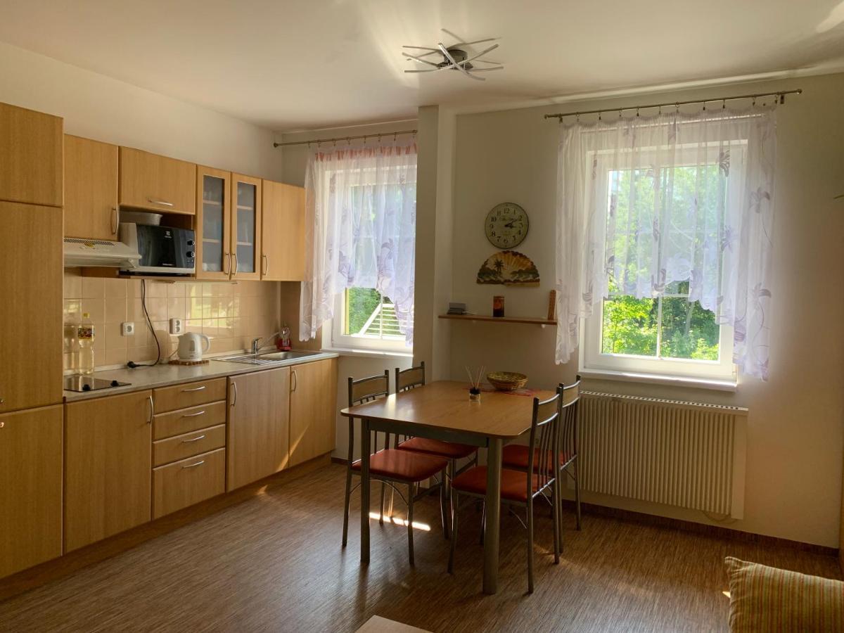 Karlov pod Pradědem Apartmány Orbit Karlov (Bruntal) Exterior foto